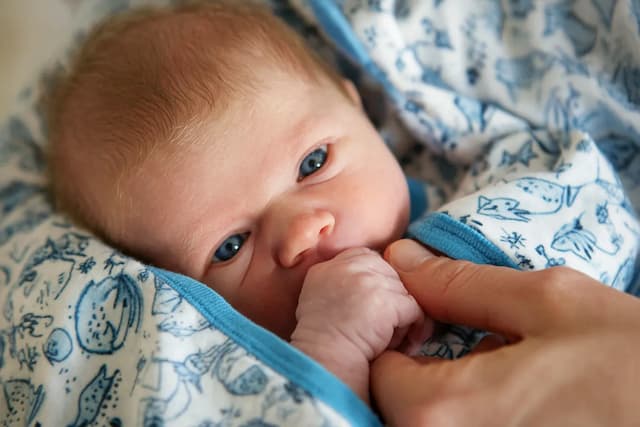 Baby concentratie tijdens leerproces